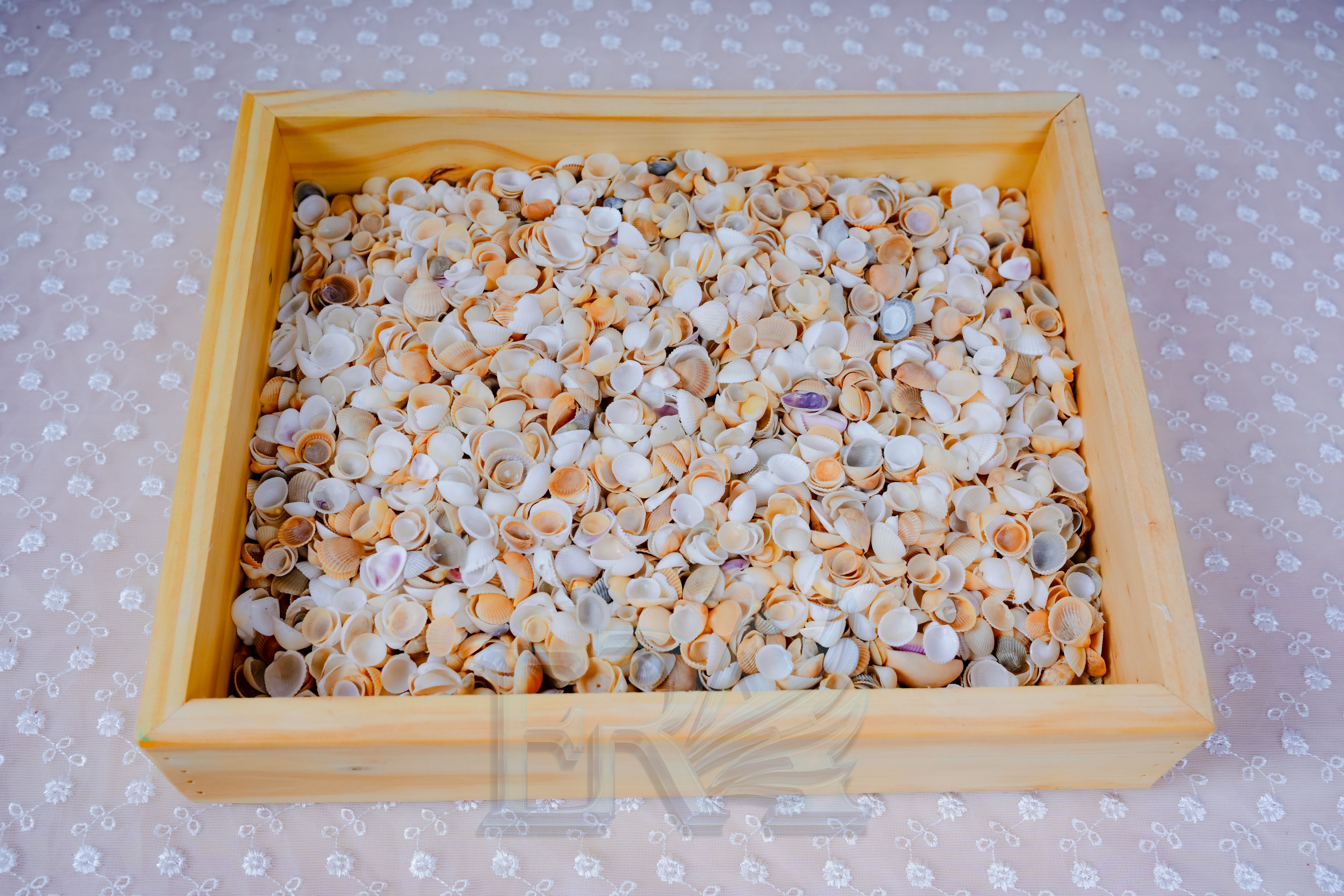 Vỏ Sò Trắng MINI 150g